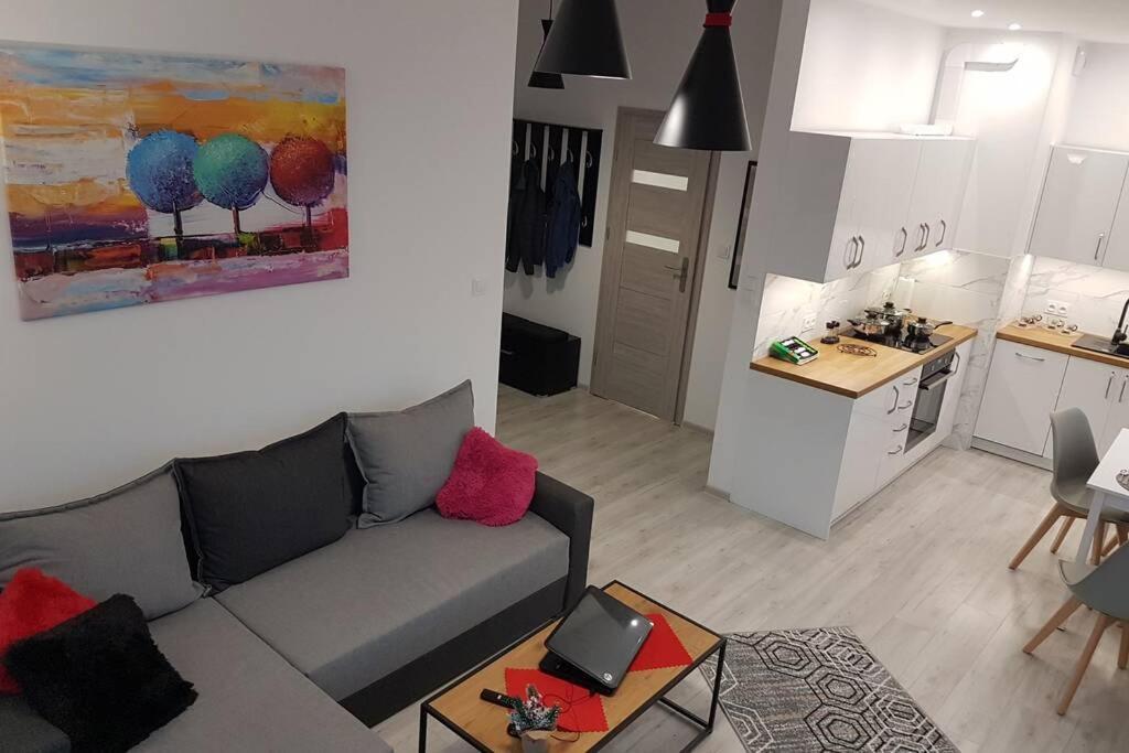 Apartment Komfortowy Nowoczesny Kustronia Z Garazem Balkonem Wanna